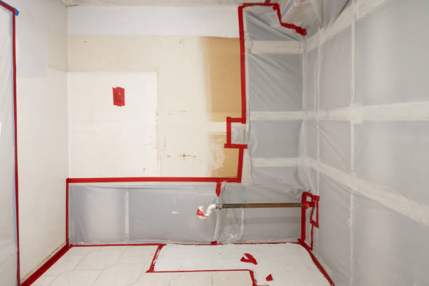 Best Mold Prevention Services  in , NH