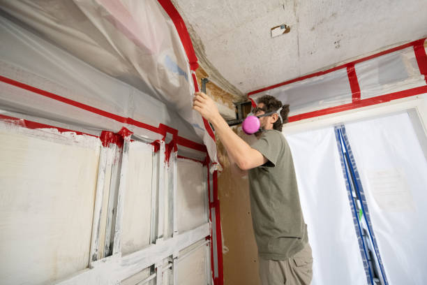 Best Mold Remediation for Rental Properties  in , NH