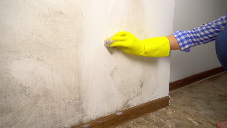 Best Mold Remediation for Vacation Homes  in , NH